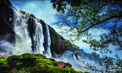 വി­നോ­ദസഞ്ചാ­രി­കളു­ടെ­ എണ്ണത്തിൽ വർ­ദ്ധന