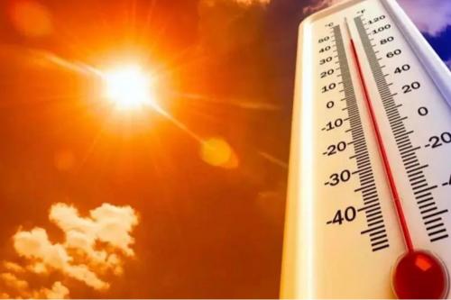 ഒഡീഷയിൽ സെൻസസ് ജോലിക്കിടെ രണ്ട് അധ്യാപകർ കുഴഞ്ഞുവീണു മരിച്ചു; സൂര്യാതപമെന്ന് സംശയം