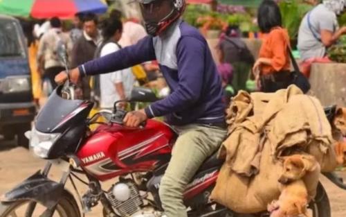 പട്ടിയിറച്ചി വില്പന നിരോധനം നീക്കി നാഗാലാൻഡ് ഹൈക്കോടതി