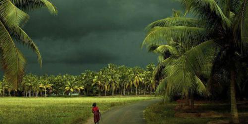 കേരളത്തിലെ മൂന്ന് ജില്ലകളിൽ ശക്തമായ കാറ്റിനും മഴയ്ക്കും സാധ്യത