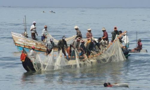 മണ്ണെണ്ണ വില കുതിക്കുന്നു; പ്രതിസന്ധിയിലായി മത്സ്യത്തൊഴിലാളികൾ