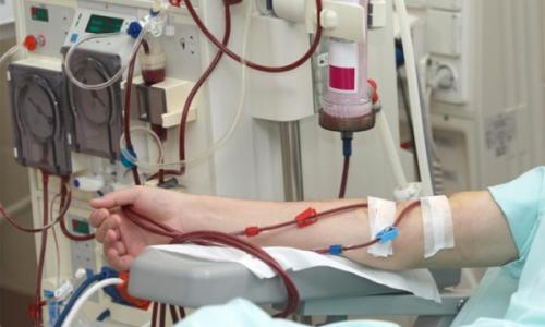 വൃക്കരോഗികൾക്ക് കാരുണ്യത്തിന്റെ തൂവൽസ്പർശവുമായി 