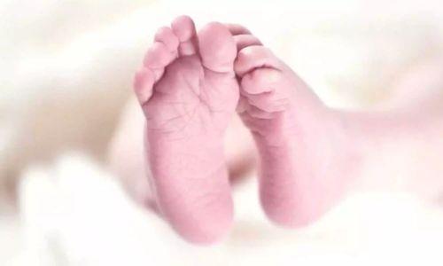 നവജാതശിശുവിന്‍റെ മൃതദേഹം തെരുവുനായ്ക്കൾ കടിച്ചുകീറിയ നിലയിൽ