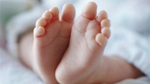 അട്ടപ്പാടിയിൽ വീണ്ടും നവജാത ശിശു മരണം അട്ടപ്പാടിയിൽ വീണ്ടും നവജാത ശിശു മരണം