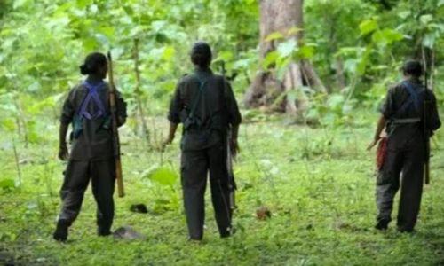 കണ്ണൂരില് മാവോയിസ്റ്റുകൾക്കായി തിരച്ചിൽ ഊർജ്ജിതമാക്കി തണ്ടർബോൾട്ടും പൊലീസും കണ്ണൂരില് മാവോയിസ്റ്റുകൾക്കായി തിരച്ചിൽ ഊർജ്ജിതമാക്കി തണ്ടർബോൾട്ടും പൊലീസും