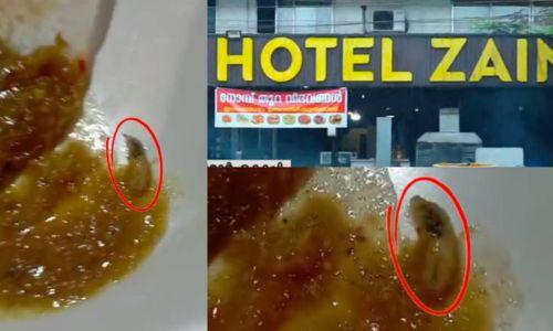 എറണാകുളത്ത് ഹോട്ടലിൽ മുട്ടക്കറിക്കൊപ്പം ‘ജീവനുള്ള പുഴു’ എറണാകുളത്ത് ഹോട്ടലിൽ മുട്ടക്കറിക്കൊപ്പം ‘ജീവനുള്ള പുഴു’