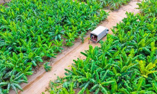 വിനോദസഞ്ചാര കേന്ദ്രമാക്കി സലാല റസാത്ത് റോയൽ ഫാം