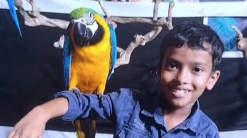 തലയണയ്ക്കടിയിൽ പാമ്പ്; തൃശൂരിൽ എട്ടു വയസ്സുകാരന് ദാരുണാന്ത്യം, സഹോദരൻ ഗുരുതരാവസ്ഥയിൽ