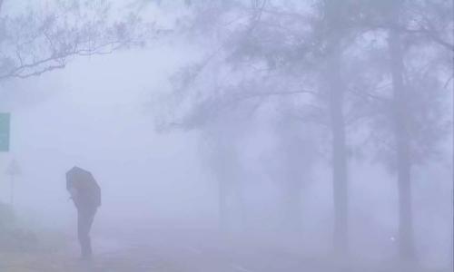 തണുത്ത് കുളിർന്ന് കേരളം; തിരുവനന്തപുരത്ത് മൂന്നാറിന് സമാനമായ തണുപ്പ്