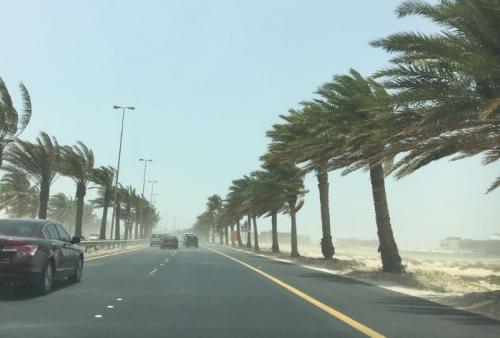 ബഹ്‌റൈനിൽ ശക്തമായ പൊടിക്കാറ്റ്; കോസ്‌വേയിൽ വേഗത 39 നോട്ട്സ് രേഖപ്പെടുത്തി