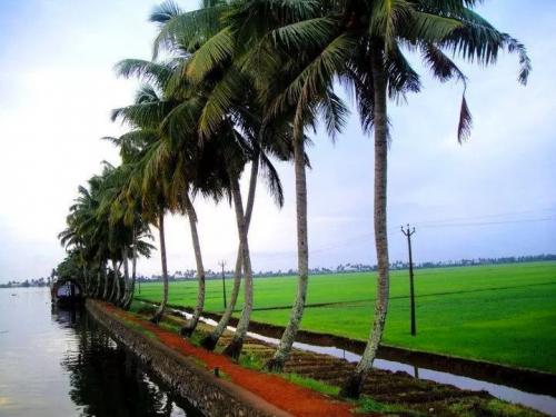 കേരളപ്പിറവി ദിനം വിപുലമായി ആഘോഷിക്കാനൊരുങ്ങി പ്രവാസി മലയാളികൾ കേരളപ്പിറവി ദിനം വിപുലമായി ആഘോഷിക്കാനൊരുങ്ങി പ്രവാസി മലയാളികൾ