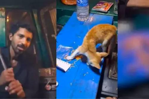 പൂച്ചയെ കൊന്ന് കഷ്ണങ്ങളാക്കി ദൃശ്യങ്ങൾ ഇൻസ്റ്റഗ്രാമിൽ പോസ്റ്റ് ചെയ്ത യുവാവിനെതിരെ കേസ് പൂച്ചയെ കൊന്ന് കഷ്ണങ്ങളാക്കി ദൃശ്യങ്ങൾ ഇൻസ്റ്റഗ്രാമിൽ പോസ്റ്റ് ചെയ്ത യുവാവിനെതിരെ കേസ്