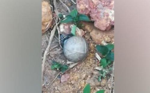 കരിപ്പൂർ‍ വിമാനത്താവള റൺവേയ്ക്ക് സമീപം ഉഗ്രശേഷിയുള്ള ഗുണ്ട് കണ്ടെത്തി