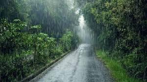 സംസ്ഥാനത്ത് വെള്ളിയാഴ്ച വരെ കനത്ത മഴയ്ക്ക് സാധ്യത; ആറ് ജില്ലകളിൽ യെല്ലോ അലർട്ട്
