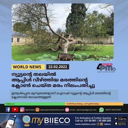 ന്യൂട്ടന്റെ തലയിൽ ആപ്പിൾ വീഴ്ത്തിയ മരത്തിന്റെ ക്ലോൺ ചെയ്ത മരം നിലംപതിച്ചു