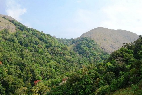 പരിസ്ഥിതി സംരക്ഷണ നിയമത്തില് കര്ശന ഭേദഗതികളുമായി കേന്ദ്രസര്ക്കാര് പരിസ്ഥിതി സംരക്ഷണ നിയമത്തില് കര്ശന ഭേദഗതികളുമായി കേന്ദ്രസര്ക്കാര്