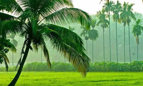 നവകേരള നിര്‍മാണത്തിനായി 25 സുപ്രധാന പദ്ധതികള്‍ 