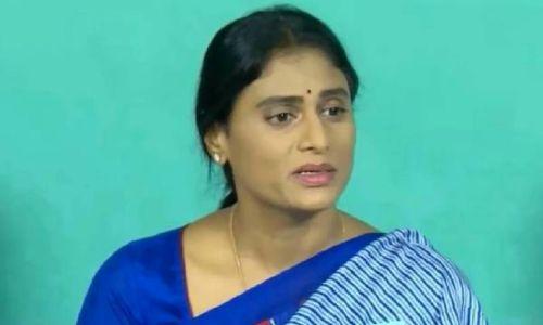 തെലങ്കാന നിയമസഭ തെരഞ്ഞെടുപ്പിൽ മത്സരിക്കാനില്ലെന്ന് വൈ.എസ് ശർമിള തെലങ്കാന നിയമസഭ തെരഞ്ഞെടുപ്പിൽ മത്സരിക്കാനില്ലെന്ന് വൈ.എസ് ശർമിള