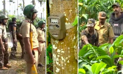 നരഭോജി കടുവയ്ക്കായി വ്യാപക തിരച്ചിൽ; കൂടുതല്‍ കാമറകൾ സ്ഥാപിച്ചു