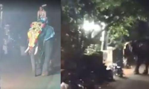 കണ്ണൂരില് ഉത്സവത്തിനിടെ ആന ഇടഞ്ഞു; പൂജാരി അത്ഭുതകരമായി രക്ഷപ്പെട്ടു കണ്ണൂരില് ഉത്സവത്തിനിടെ ആന ഇടഞ്ഞു; പൂജാരി അത്ഭുതകരമായി രക്ഷപ്പെട്ടു