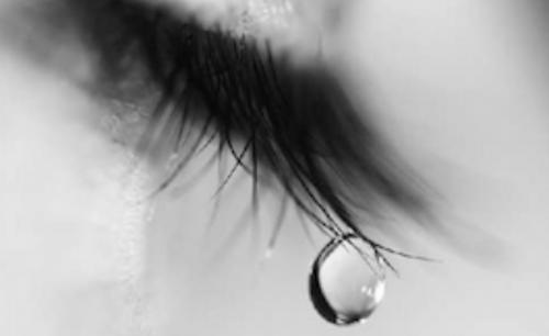 താൻ നേരിട്ട ദുരിതങ്ങൾ വെളിപ്പെടുത്തി ഫ്രാങ്കോ മുളയ്ക്കൽ കേസിലെ അതിജീവിത രംഗത്ത്