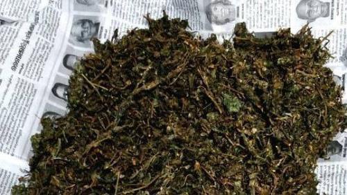ആലപ്പുഴയിൽ വൻ കഞ്ചാവു വേട്ട; 60 കിലോ പിടികൂടി 