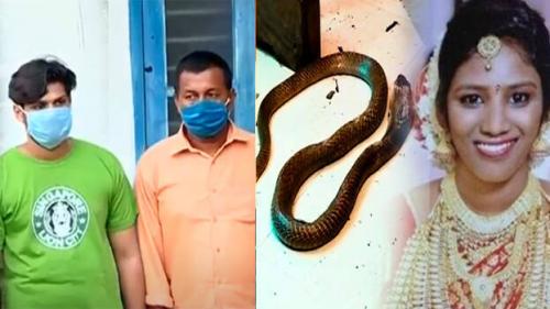 ഉത്രാ വധം; കുറ്റപത്രം സമർപ്പിച്ചു, ഭർത്താവ് സൂരജ് മാത്രം പ്രതി   