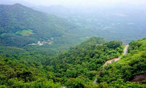 ബഫർസോൺ: പ്രമേയം പാസാക്കി സിപിഐഎം ഭരണ നഗരസഭ ബഫർസോൺ: പ്രമേയം പാസാക്കി സിപിഐഎം ഭരണ നഗരസഭ
