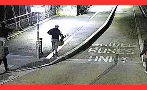 ബ്രിട്ടനിലെ മ്യൂസിയത്തിൽ കവർച്ച നടത്തിയ പ്രതികളുടെ സി.സി.ടി.വി ദൃശ്യങ്ങൾ പോലീസ് പുറത്തുവിട്ടു