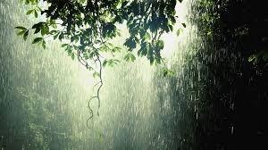 അടുത്ത അഞ്ച് ദിവസം അതിശക്തമായ മഴ; വിവിധ ജില്ലകളിൽ റെഡ്, ഓറഞ്ച് അലർട്ടുകൾ