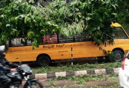 മംഗളൂരുവിൽ സ്കൂൾ ബസിനു മുകളിലേക്ക് മരം വീണു