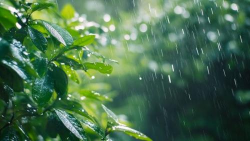 സംസ്ഥാനത്ത് വീണ്ടും മഴമുന്നറിയിപ്പ്; വ്യാഴാഴ്ച മുതൽ ഇടിമിന്നലോട് കൂടിയ മഴയ്ക്ക് സാധ്യത