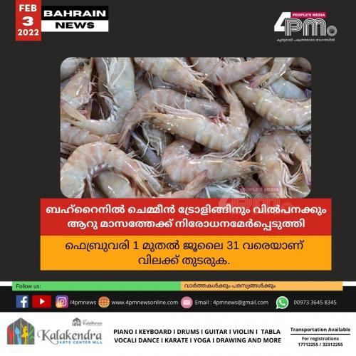 ബഹ്റൈനിൽ ചെ​മ്മീ​ൻ ട്രോ​ളി​ങ്ങി​നും വി​ൽ​പ​ന​ക്കും ആ​റു​ മാ​സ​ത്തേ​ക്ക്​ നി​രോ​ധ​ന​മേ​ർ​പ്പെ​ടു​ത്തി