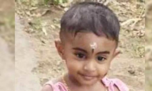 നിയന്ത്രണംവിട്ട കാറിടിച്ച് രണ്ടരവയസ്സുകാരന് ദാരുണാന്ത്യം നിയന്ത്രണംവിട്ട കാറിടിച്ച് രണ്ടരവയസ്സുകാരന് ദാരുണാന്ത്യം