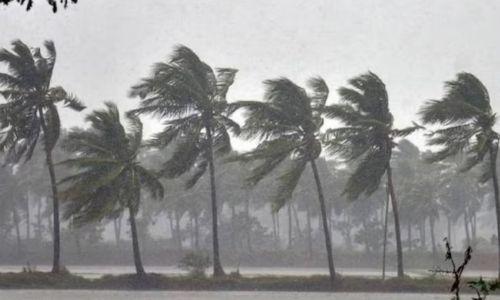 കാലവർഷം ഞായറാഴ്ചയെത്തും; ഇന്ന് ഒമ്പത് ജില്ലകളിൽ യെല്ലോ അലേർട്ട് കാലവർഷം ഞായറാഴ്ചയെത്തും; ഇന്ന് ഒമ്പത് ജില്ലകളിൽ യെല്ലോ അലേർട്ട്