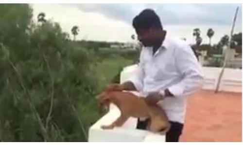നായയെ കെട്ടിടത്തിൽ താഴേക്കിട്ടത് മെഡിക്കൽ വിദ്യാർത്ഥികളെന്ന് കണ്ടെത്തി നായയെ കെട്ടിടത്തിൽ താഴേക്കിട്ടത് മെഡിക്കൽ വിദ്യാർത്ഥികളെന്ന് കണ്ടെത്തി