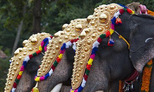 ഉത്സവങ്ങളില് ആന എഴുന്നള്ളിപ്പ് തടയാനുള്ള നീക്കമാണ് ഹൈക്കോടതിയുടേത്; സുപ്രീംകോടതി ഉത്സവങ്ങളില് ആന എഴുന്നള്ളിപ്പ് തടയാനുള്ള നീക്കമാണ് ഹൈക്കോടതിയുടേത്; സുപ്രീംകോടതി