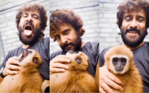 വംശനാശ ഭീഷണി നേരിടുന്ന കുരങ്ങിനൊപ്പം വീഡിയോ; വിവാദ റീൽ; വിക്രമിന് നോട്ടീസ്, കുരങ്ങ് വനംവകുപ്പിന്റെ കസ്റ്റഡിയിൽ