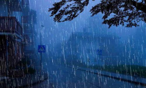 ന്യൂനമർദപാത്തി; കേരളത്തിൽ ശക്തമായ മഴയ്ക്ക് സാധ്യത ന്യൂനമർദപാത്തി; കേരളത്തിൽ ശക്തമായ മഴയ്ക്ക് സാധ്യത