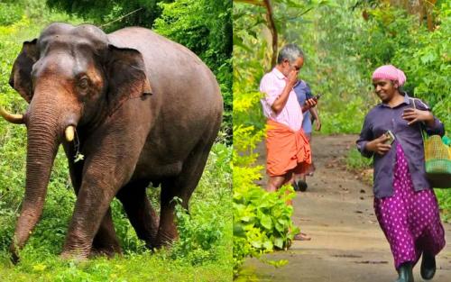 ഇടുക്കിയിൽ രാത്രികാല സഞ്ചാരവിലക്കിനെതിരെ ജനരോഷം ശക്തമാകുന്നു; ഉത്തരവ് പിൻവലിക്കണമെന്ന് ജനപ്രതിനിധികളും രാഷ്ട്രീയ പാർട്ടി നേതാക്കളും