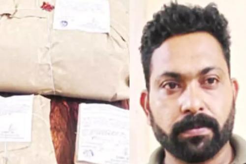 കാസർഗോഡ് വൻ കഞ്ചാവ് വേട്ട; ഒരാൾ പിടിയിൽ കാസർഗോഡ് വൻ കഞ്ചാവ് വേട്ട; ഒരാൾ പിടിയിൽ