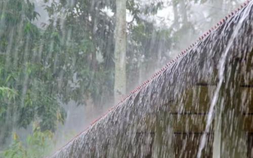സംസ്ഥാനത്ത് വീണ്ടും ശക്തമായ മഴ: ഇന്ന് ഒമ്പത് ജില്ലകളിൽ യെല്ലോ അലർട്ട്