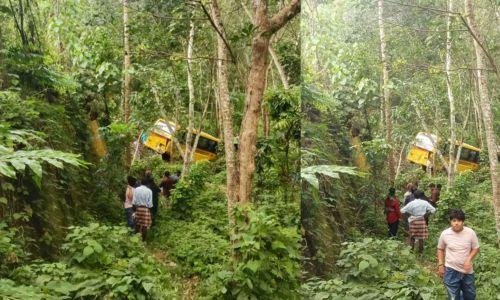നിയന്ത്രണം നഷ്ടപ്പെട്ടു: കൊല്ലത്ത് സ്കൂൾ ബസ് മറിഞ്ഞ് അപകടം