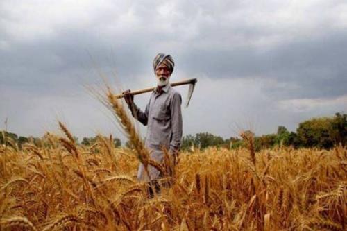 കാർഷിക നിയമങ്ങൾ പിൻവലിക്കാനുള്ള കരട് ബിൽ തയ്യാറായി കാർഷിക നിയമങ്ങൾ പിൻവലിക്കാനുള്ള കരട് ബിൽ തയ്യാറായി