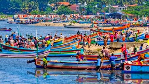 ട്രോളിംഗ് നിരോധനം ആരംഭിച്ചു; മത്സ്യബന്ധന ബോട്ടുകൾ തീരമണിഞ്ഞു