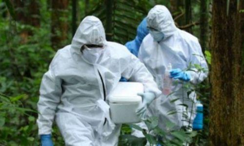 നിപ ഭീതി ഒഴിയുന്നു: 24 സാമ്പിളുകൾ കൂടി നെഗറ്റീവ്; നിയന്ത്രണങ്ങളിൽ ഇളവ് വരും നിപ ഭീതി ഒഴിയുന്നു: 24 സാമ്പിളുകൾ കൂടി നെഗറ്റീവ്; നിയന്ത്രണങ്ങളിൽ ഇളവ് വരും