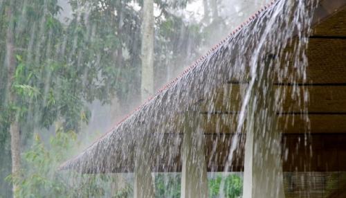 കാലവർഷം വരുന്നു; അഞ്ച് ദിവസം മഴ കനക്കും, ഏഴ് ജില്ലകളിൽ യെല്ലോ അലർട്ട്