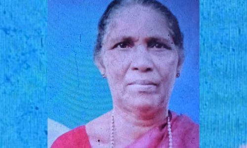 മൂവാറ്റുപുഴയിൽ കിടപ്പ് രോഗിയെ കഴുത്തറുത്ത് കൊന്നു; ഭര്ത്താവ് പിടിയിൽ മൂവാറ്റുപുഴയിൽ കിടപ്പ് രോഗിയെ കഴുത്തറുത്ത് കൊന്നു; ഭര്ത്താവ് പിടിയിൽ