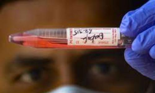 വീണ്ടുമൊരു കോവിഡ് തരംഗത്തിന് കൂടി സാധ്യത; ഒമിക്രോൺ ഉപ വകഭേദം XBB.1.5 ഇന്ത്യയിലും വീണ്ടുമൊരു കോവിഡ് തരംഗത്തിന് കൂടി സാധ്യത; ഒമിക്രോൺ ഉപ വകഭേദം XBB.1.5 ഇന്ത്യയിലും