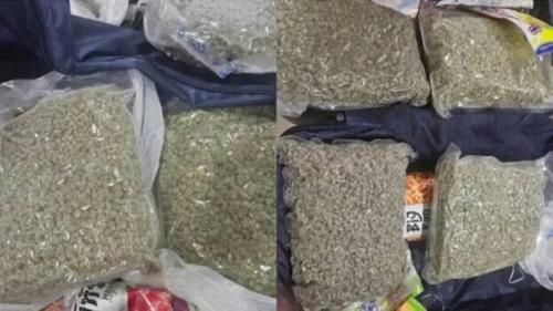 നെടുമ്പാശേരിയിൽ വൻ ലഹരിവേട്ട; 4.3 കോടിയുടെ ഹൈബ്രിഡ് കഞ്ചാവ് പിടികൂടി